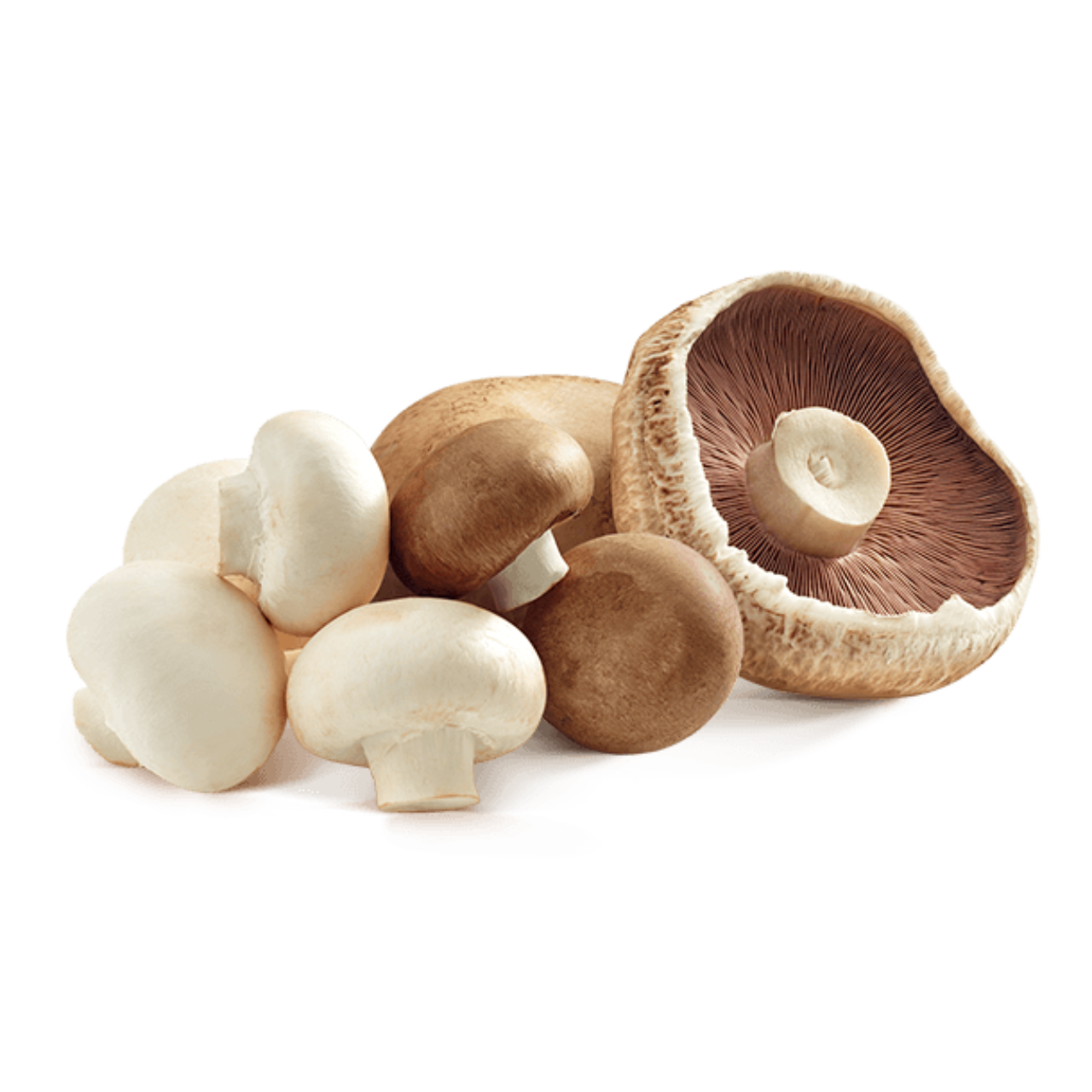 Fruit Layer Mushrooms